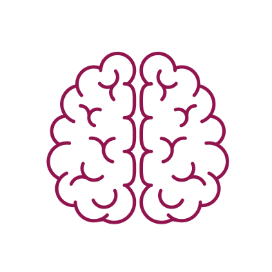 Human brain illustration