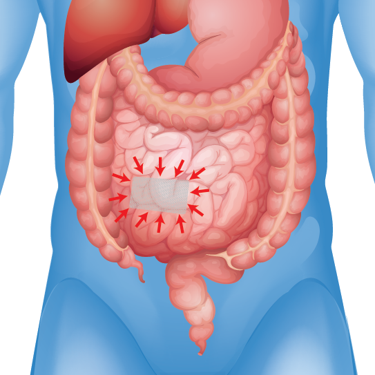 Contraction of intestine